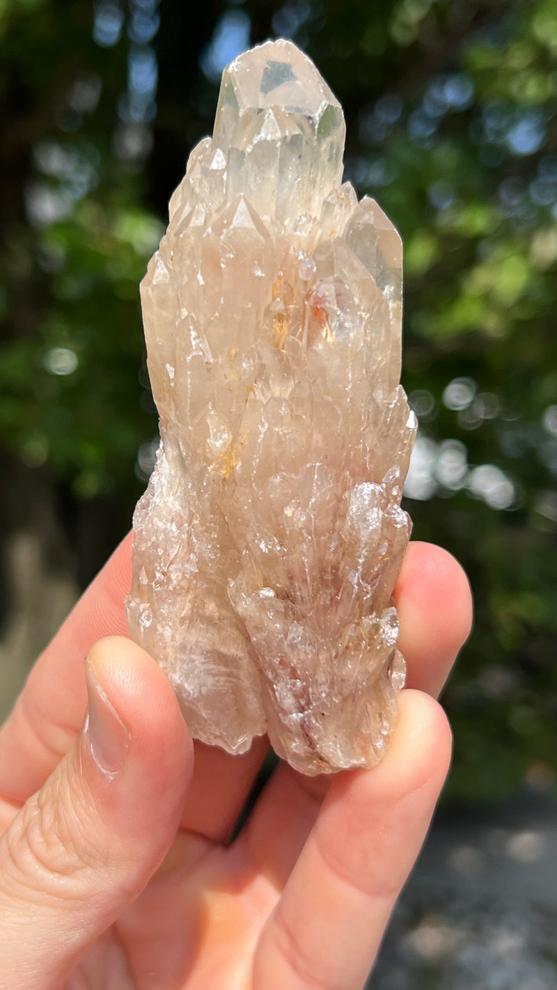 Kundalini Citrine Wholesale Flat 12 pieces from Democratic Republic of Congo