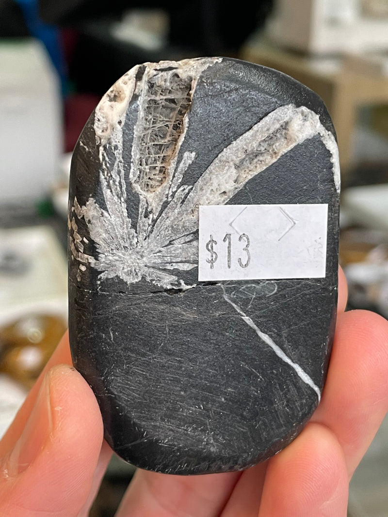 @exterra_crystals