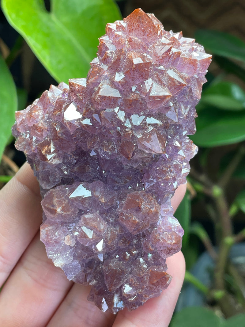 Amethyst from Diamond Willow Mine, Pearl, ON, Canada