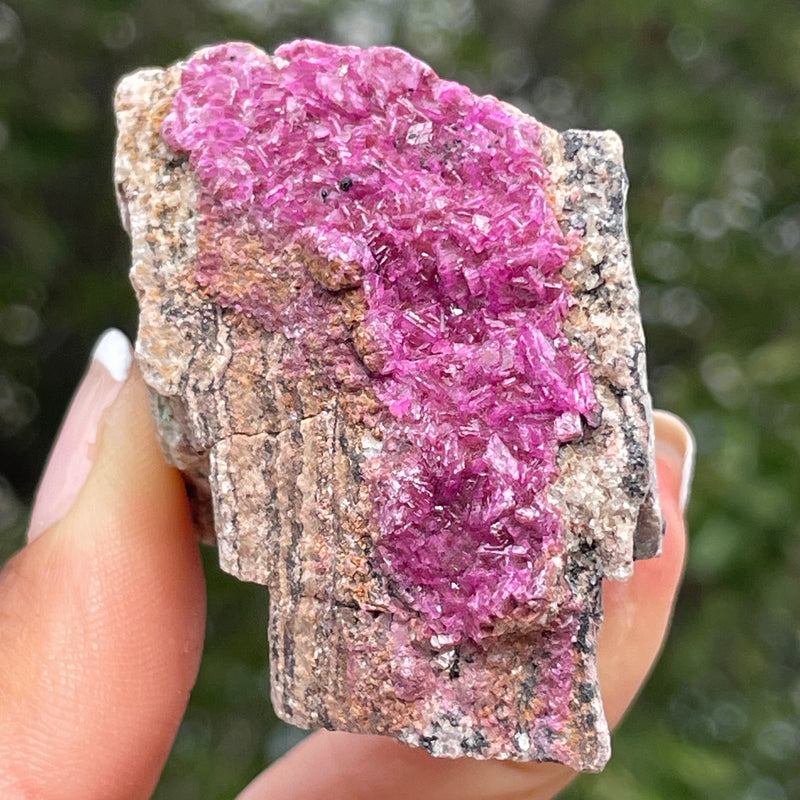 Cobalt-bearing Calcite from Democratic Republic of Congo