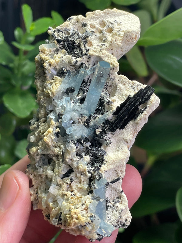 Aquamarine Specimen on Feldspar with Black Tourmaline, from Erongo Mountain, Erongo Region, Namibia