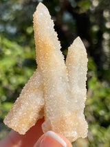 1 piece of Witch’s Finger Quartz from Boukenhoethoek, South Africa