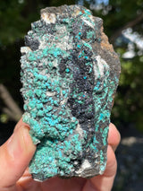Malachite and Chrysocolla Flat 12 pieces from Usakos, Erongo Region, Namibia
