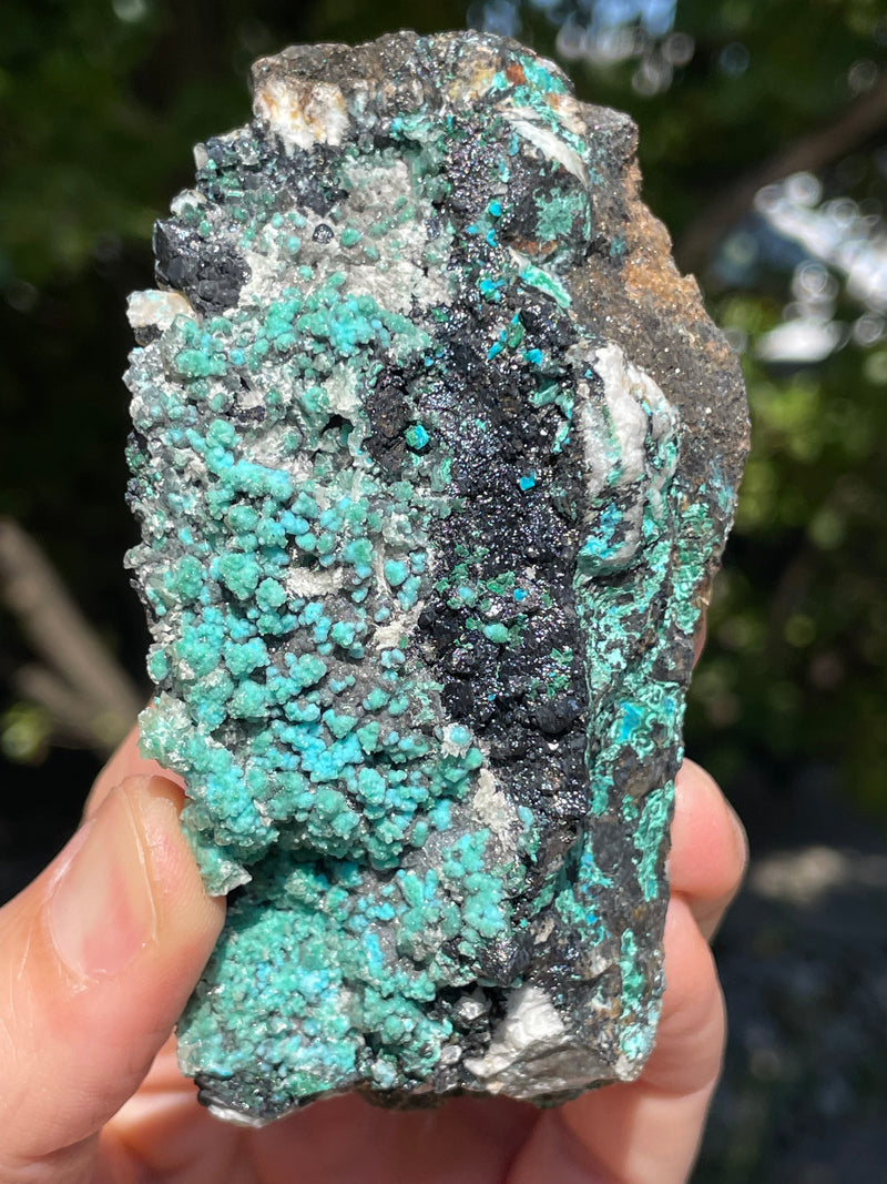 Malachite and Chrysocolla Flat 12 pieces from Usakos, Erongo Region, Namibia