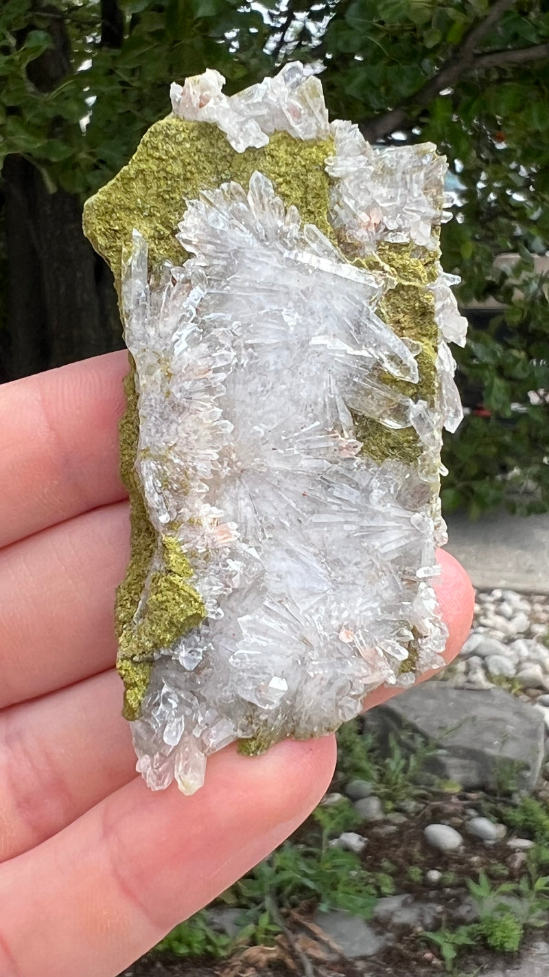 Harledote Brandberg Quartz flat 18 pieces from Goboboseb Mountains, Erongo Region, Namibia