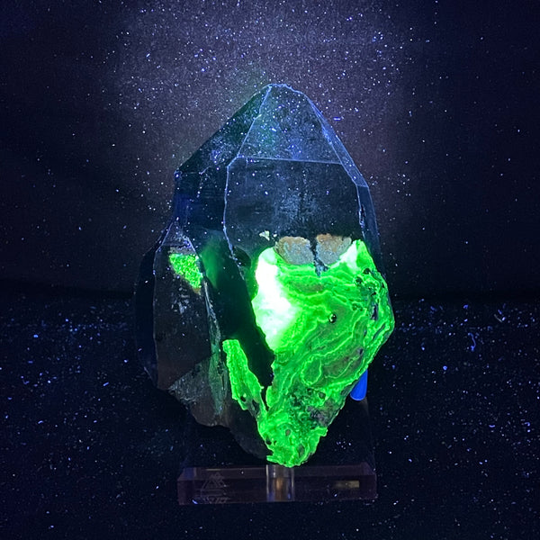 Fluorescent-Smoky-Quartz-Hyalite-from-Erongo-Mountain-Erongo-Region-Namibia