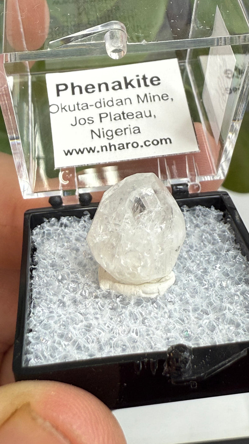 Gemmy Nigerian Phenakite Crystal with black tourmaline  from Okuta-Didan Mine, Jos Plateau, Nigeria