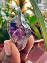 37 Piece Shangaan Amethyst Sceptre Wholesale Flat | Chibuku Mine, Zimbabwe