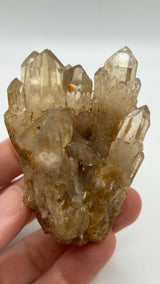 Kundalini Quartz Wholesale Flat
15 pieces, Congo Citrine, Natural Citrine, Democratic Republic of Congo, Kundalini Citrine Crystal