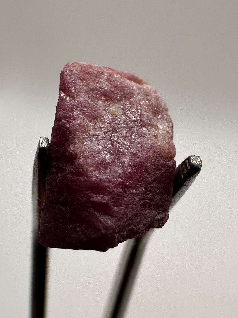 Natural Fluorescent Ruby 40g from Mount Darwin, Zimbabwe