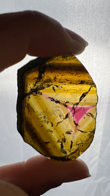 Yellow and Pink Liddicoatite Slice (video) from Madagascar - 5.5 cm (2.2") x 3.5 cm (1.39")