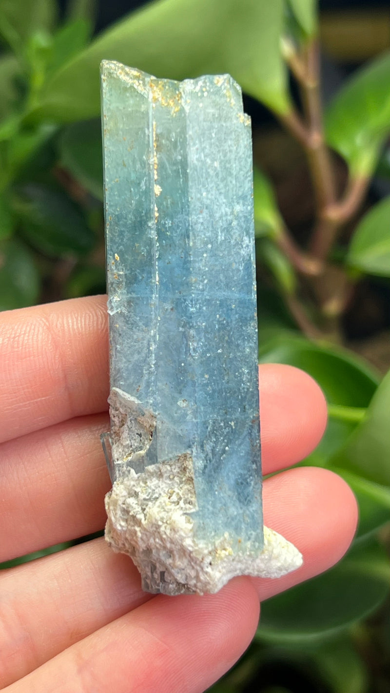 Aquamarine Specimen with Feldspar from Erongo Mountain, Erongo Region, Namibia