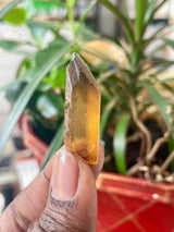 1kg Zambian Citrine Bag | Luapula, Zambia