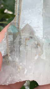 Ajoite in Quartz from Messina Mine, Shaft #5, South Africa with Piemontite and Epidote