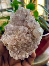 8 Piece Spirit Quartz Wholesale Flat | Boekenhouthoek, Mpumalanga, South Africa