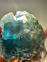 24 piece Fluorite Wholesale Flat | Butterfly ‘Test’ Pocket, Okorusu Mine, Namibia, Africa.