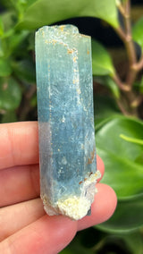 Aquamarine Specimen with Feldspar from Erongo Mountain, Erongo Region, Namibia