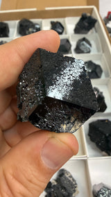 24 Piece Black Tourmaline Wholesale Flat Schorl | Erongo Mountains, Namibia