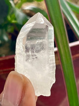 35 piece wholesale flat of Quartz Points | Mporokoso, Zambia