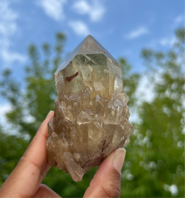 12 Pieces Kundalini Citrine Quartz – 3.288kg Natural Congo Citrine from Luena, Democratic Republic of Congo