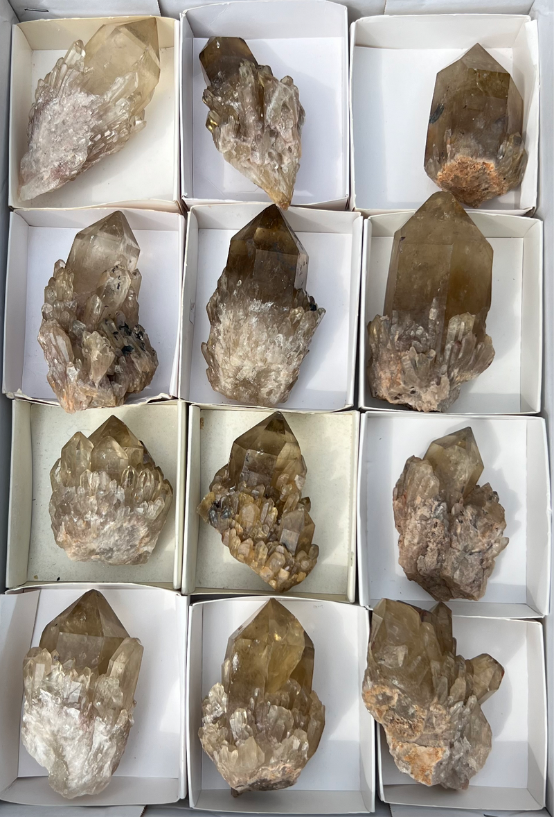 12 Pieces Kundalini Citrine Quartz – 3.288kg Natural Congo Citrine from Luena, Democratic Republic of Congo