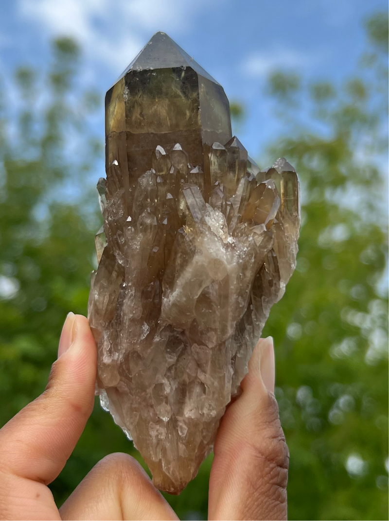 12 Pieces Kundalini Citrine Quartz – 3.288kg Natural Congo Citrine from Luena, Democratic Republic of Congo