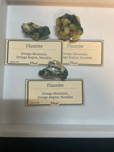 @Crystal Dude CD (world_wide_crystalswwc)