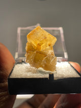 Fluorite - Moscona Mine, Spain