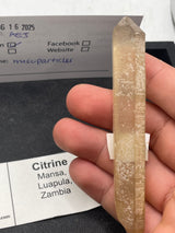 @miscparticles