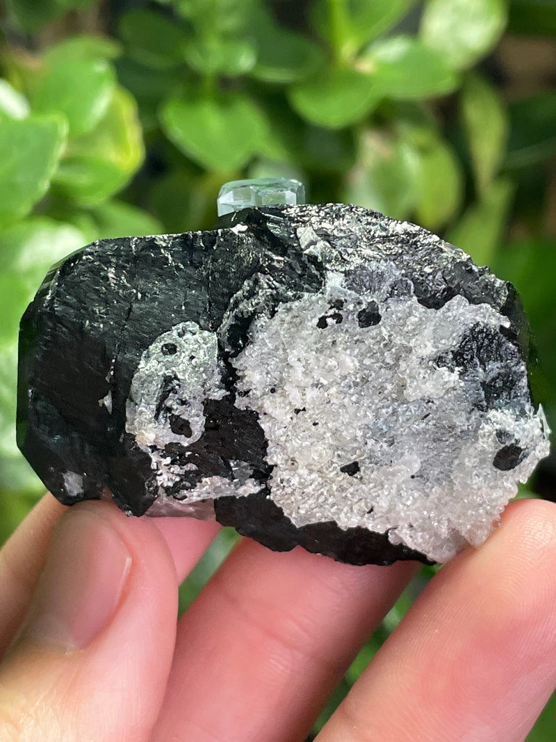 Black Tourmaline Specimen with Aquamarine and Hyalite Opal from Erongo Mountain, Erongo Region, Namibia