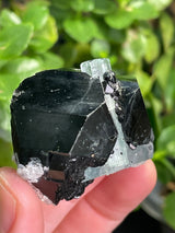 Black Tourmaline Specimen with Aquamarine and Hyalite Opal from Erongo Mountain, Erongo Region, Namibia