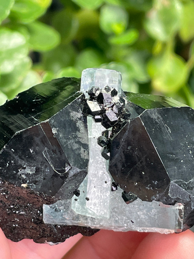 Black Tourmaline Specimen with Aquamarine and Hyalite Opal from Erongo Mountain, Erongo Region, Namibia