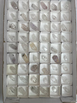 54 Piece Brandberg Quartz Wholesale Flat from the Brandberg District, Goboboseb, Erongo Region, Namibia