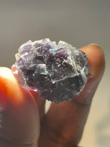 Fluorite Singles from the Butterfly ‘Test’ Pocket, Okorusu Mine, Namibia, Africa.