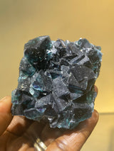 24 piece Fluorite Wholesale Flat | Butterfly ‘Test’ Pocket, Okorusu Mine, Namibia, Africa.