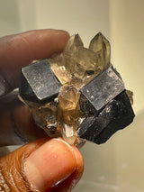 24-piece Black Tourmaline Flat | Erongo Mountain, Erongo Region, Namibia