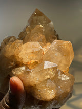 Kundalini Citrine Cluster | Luena, Katanga, Democratic Republic of Congo