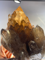 Kundalini Citrine Cluster | Luena, Katanga, Democratic Republic of Congo