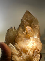 Kundalini Citrine Cluster | Luena, Katanga, Democratic Republic of Congo