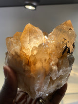 Kundalini Citrine Cluster | Luena, Katanga, Democratic Republic of Congo