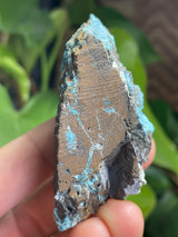 Shattuckite from Mesopotamia Copper Valley, Kunene, Namibia