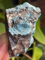 Shattuckite from Mesopotamia Copper Valley, Kunene, Namibia