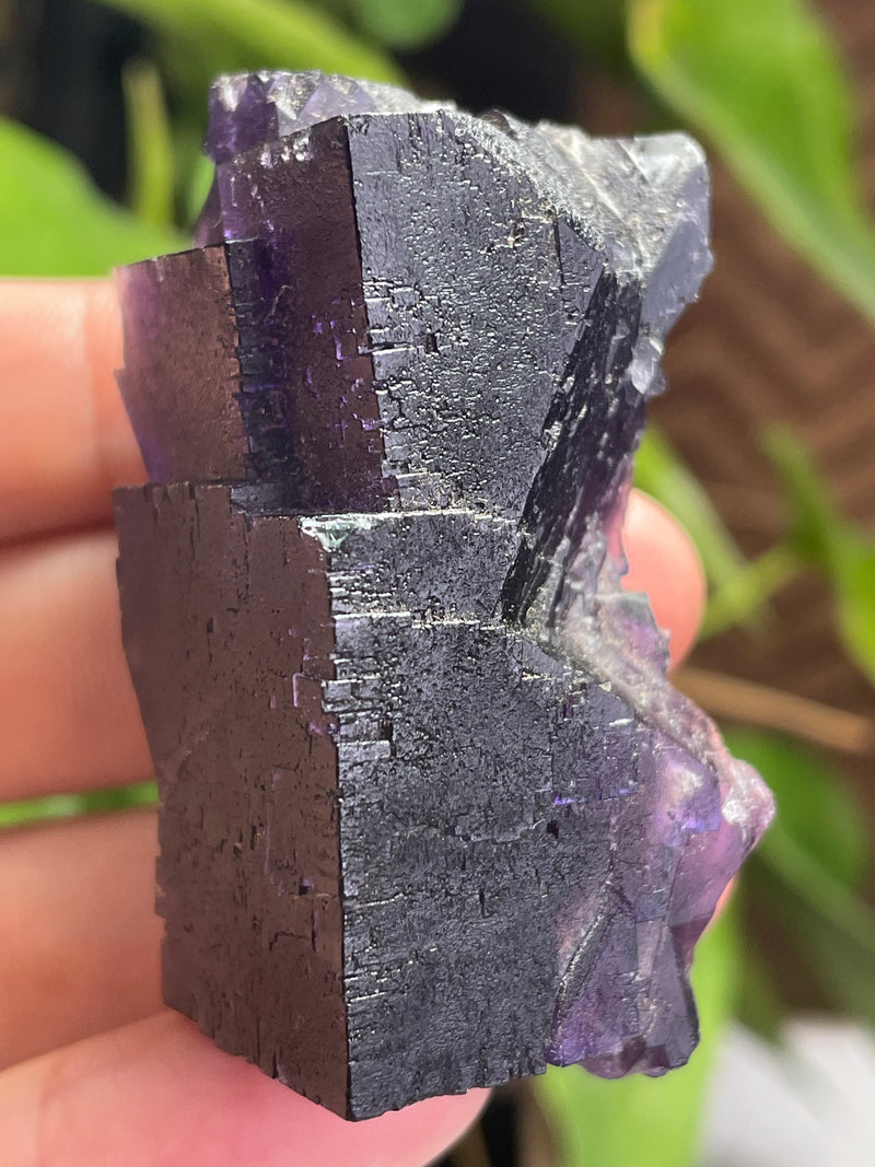 Fluorite From Lead Hill, Cave in Rock Sub-District, Hardin Co., Illinois