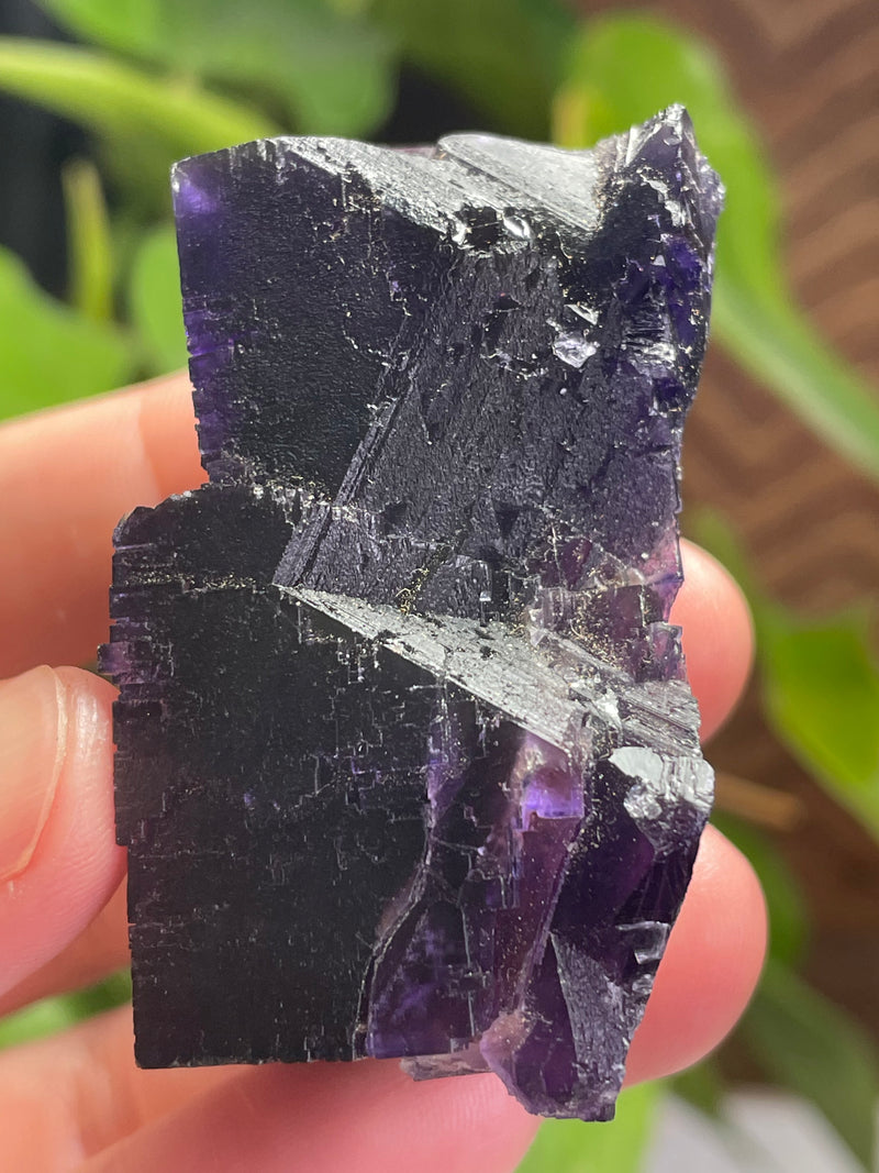 Fluorite From Lead Hill, Cave in Rock Sub-District, Hardin Co., Illinois