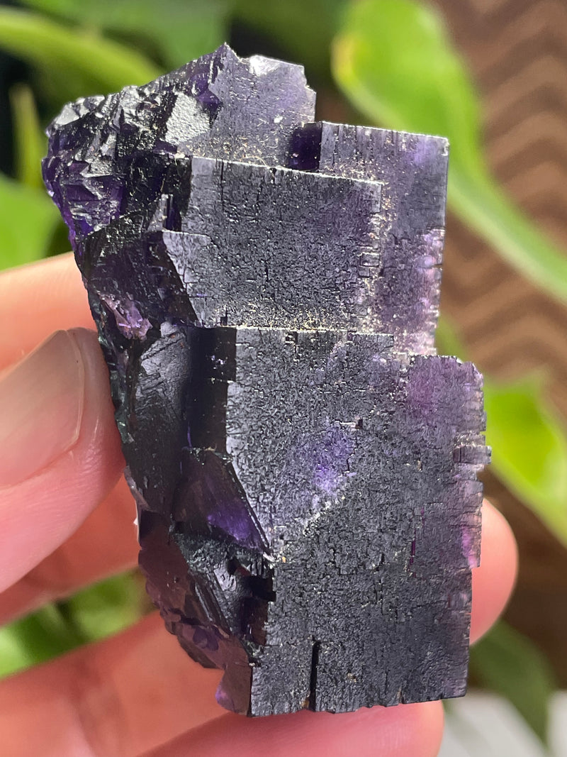 Fluorite From Lead Hill, Cave in Rock Sub-District, Hardin Co., Illinois