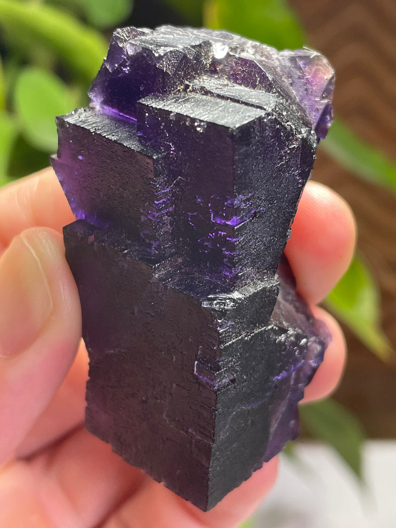 Fluorite From Lead Hill, Cave in Rock Sub-District, Hardin Co., Illinois