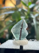 Pen Fluorite, Erongo Mountain, Erongo Region, Namibia, Africa