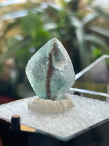 Pen Fluorite, Erongo Mountain, Erongo Region, Namibia, Africa