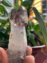 37 Piece Shangaan Amethyst Sceptre Wholesale Flat | Chibuku Mine, Zimbabwe