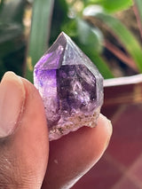 37 Piece Shangaan Amethyst Sceptre Wholesale Flat | Chibuku Mine, Zimbabwe